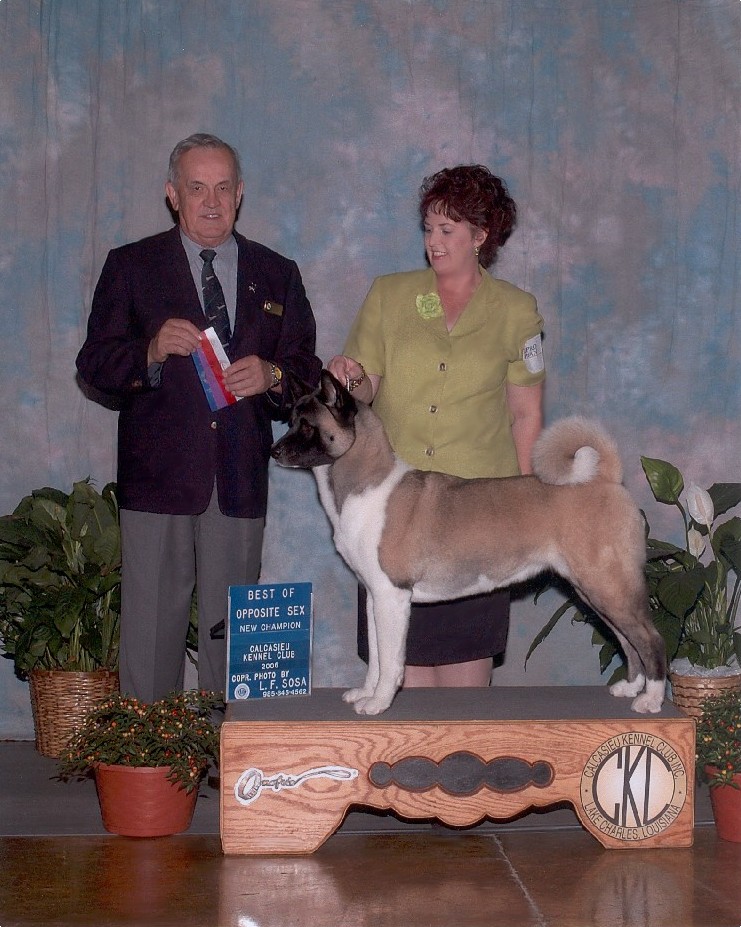 Here's Aimee!! - Thanks Col Purkhiser for consistently awarding this lovely girl!